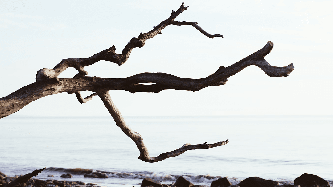 Branch Strategies That Actually Work for Growing GitHub Teams