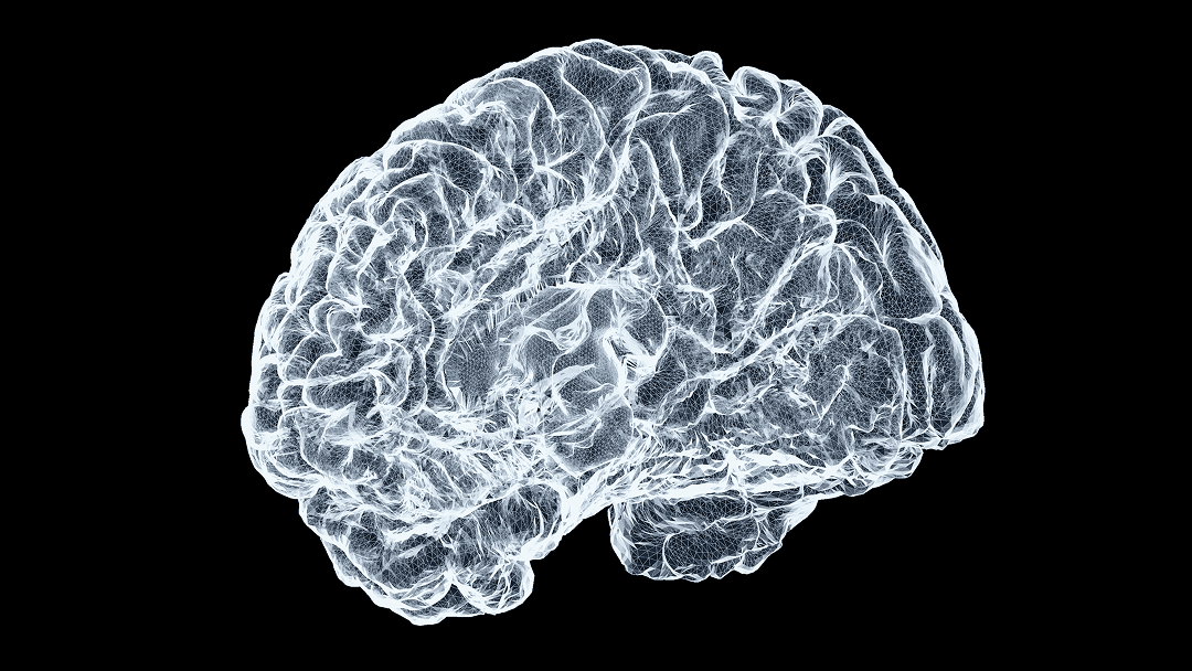 Why Skills Might Be the Most Important AI Concept of 2026